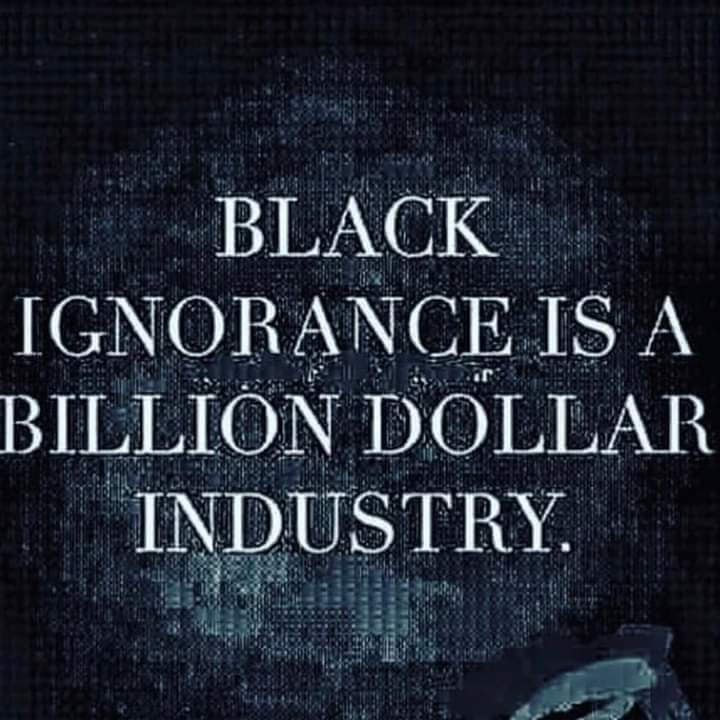 The Enemy’s Friend for Negroes-A Reply FE(2)
